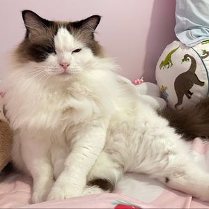 Meet your Posher, Yuting